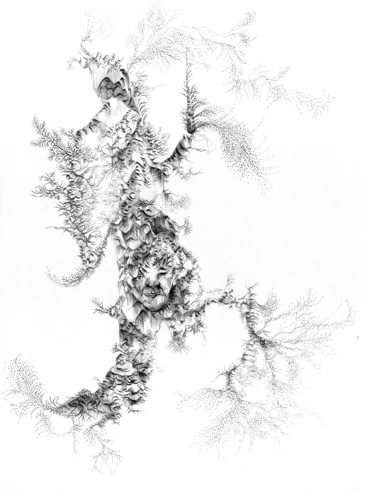 1a felicidade 47x35 cm indian ink on paper 2013